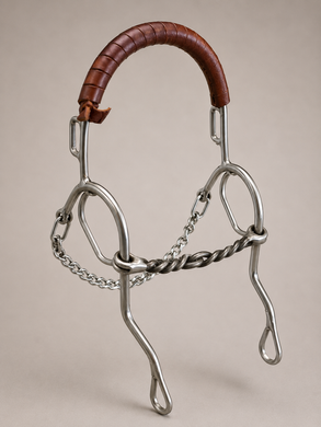 BIT - RM305 - Reinsman Molly Powell First Barrel