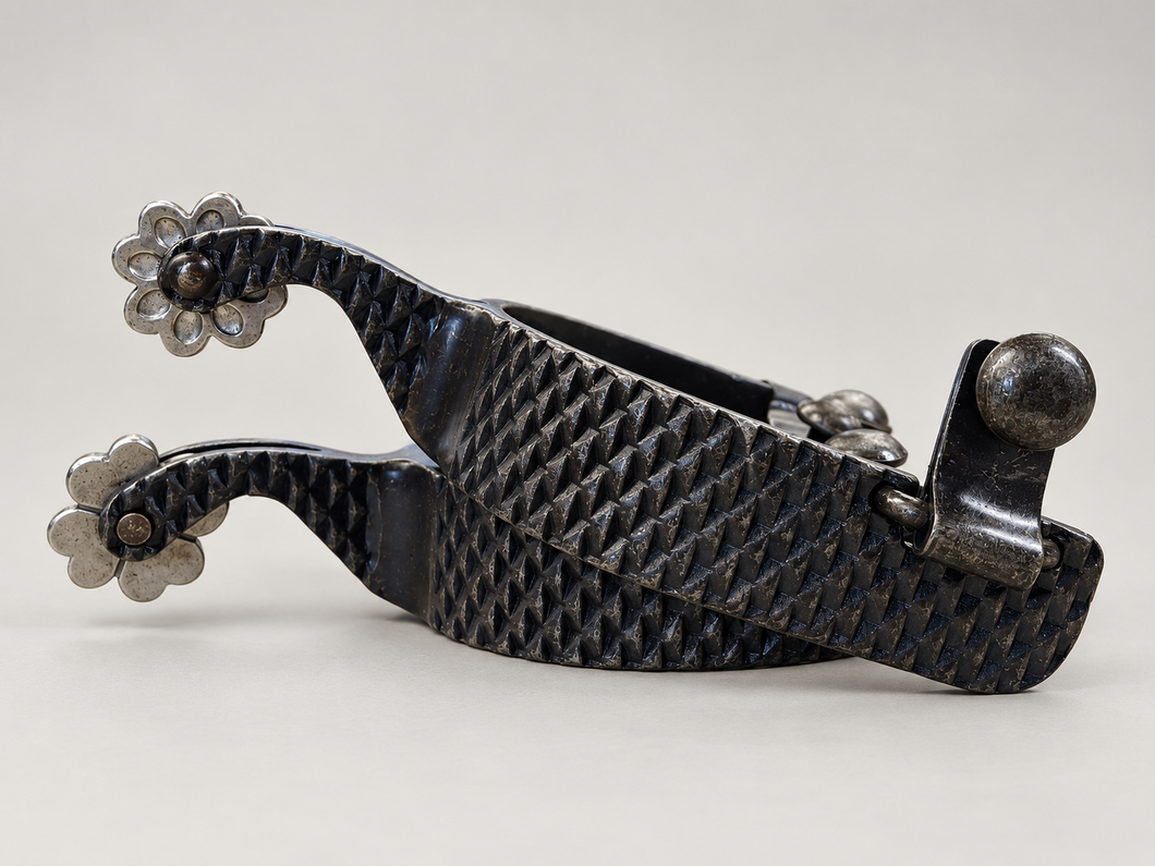 Spurs - CE31 - Classic Equine Rasp with