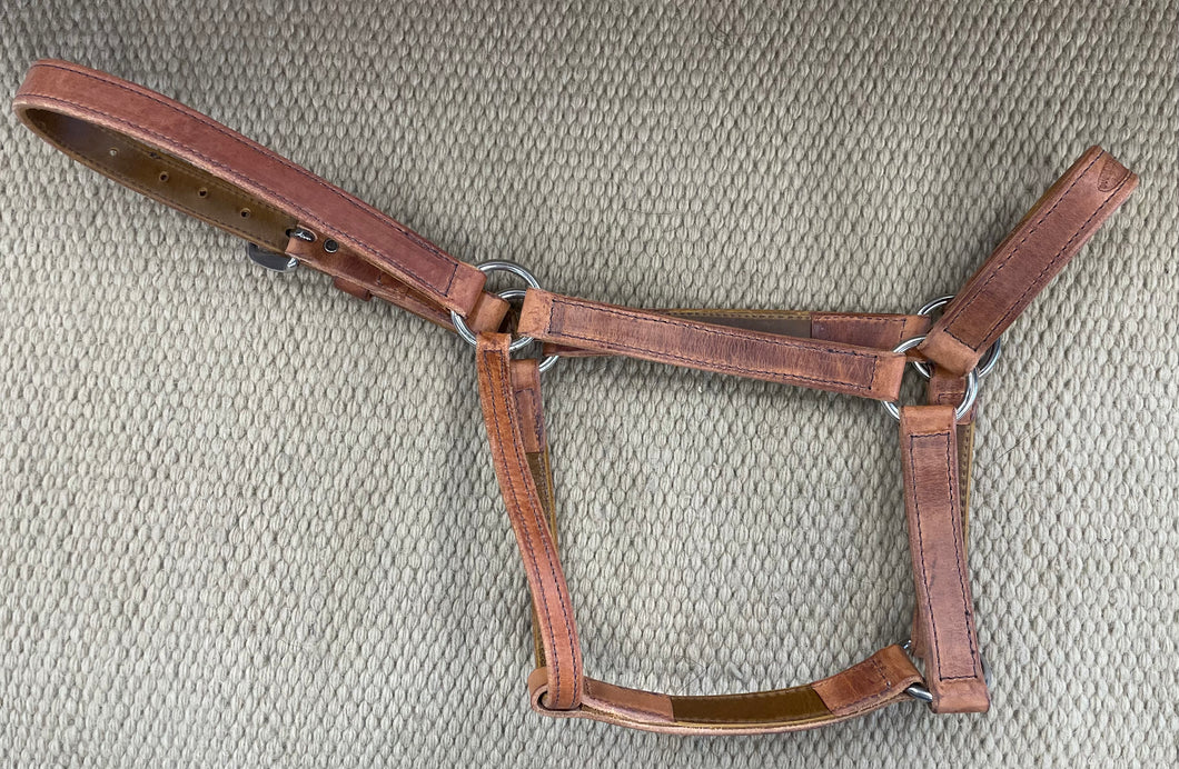 Halter - HA02 - Leather Halter